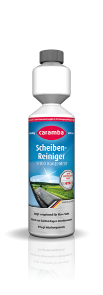 AKTION Sommer-Scheibenreiniger 250ml 1:100